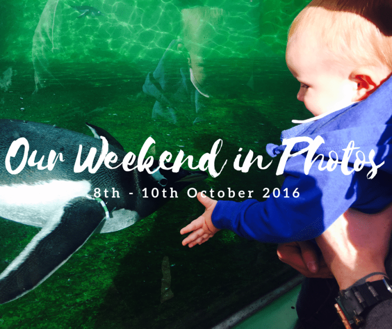 Our Weekend in Photos (8th – 10th October 2016) | Mummy Mimi